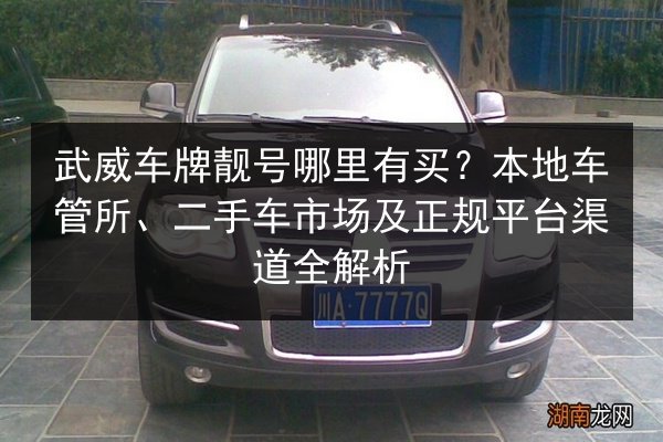 武威车牌靓号哪里有买?本地车管所、二手车市场及正规平台渠道全解析 第2张 武威车牌靓号哪里有买?本地车管所、二手车市场及正规平台渠道全解析 第2张