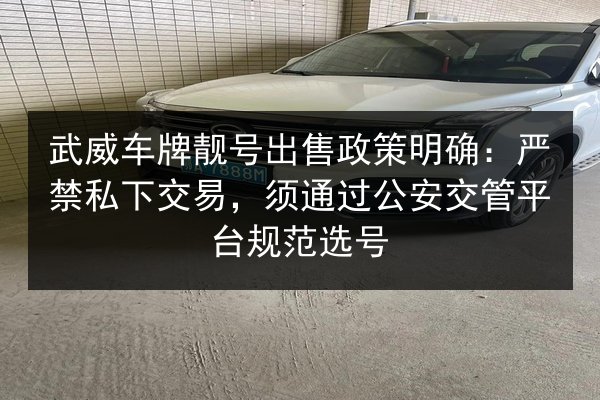 武威车牌靓号出售政策明确:严禁私下交易,须通过公安交管平台规范选号 第3张 武威车牌靓号出售政策明确:严禁私下交易,须通过公安交管平台规范选号 第3张