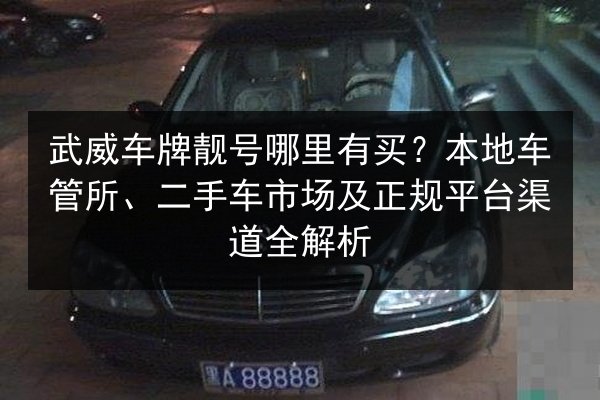 武威车牌靓号哪里有买?本地车管所、二手车市场及正规平台渠道全解析 第3张 武威车牌靓号哪里有买?本地车管所、二手车市场及正规平台渠道全解析 第3张