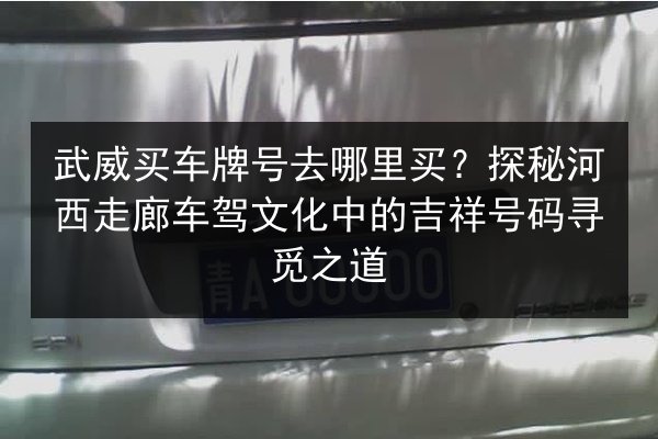 武威买车牌号去哪里买？探秘河西走廊车驾文化中的吉祥号码寻觅之道