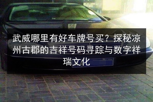武威哪里有好车牌号买？探秘凉州古郡的吉祥号码寻踪与数字祥瑞文化 第2张
