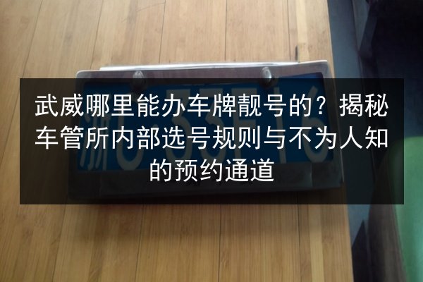 武威哪里能办车牌靓号的?揭秘车管所内部选号规则与不为人知的预约通道 第2张 武威哪里能办车牌靓号的?揭秘车管所内部选号规则与不为人知的预约通道 第2张