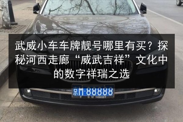 武威小车车牌靓号哪里有买?探秘河西走廊“威武吉祥”文化中的数字祥瑞之选 第2张 武威小车车牌靓号哪里有买?探秘河西走廊“威武吉祥”文化中的数字祥瑞之选 第2张
