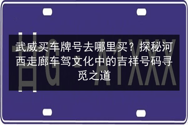 武威买车牌号去哪里买?探秘河西走廊车驾文化中的吉祥号码寻觅之道 第2张 武威买车牌号去哪里买?探秘河西走廊车驾文化中的吉祥号码寻觅之道 第2张