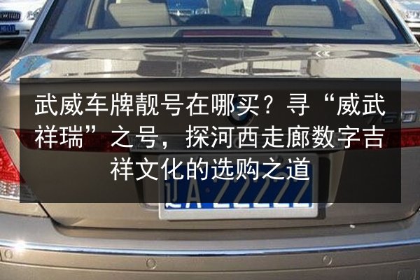 武威车牌靓号在哪买?寻“威武祥瑞”之号,探河西走廊数字吉祥文化的选购之道 第3张 武威车牌靓号在哪买?寻“威武祥瑞”之号,探河西走廊数字吉祥文化的选购之道 第3张
