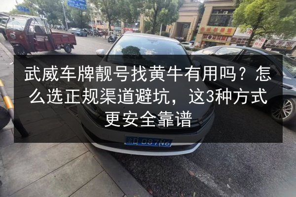 武威车牌靓号找黄牛有用吗？怎么选正规渠道避坑，这3种方式更安全靠谱
