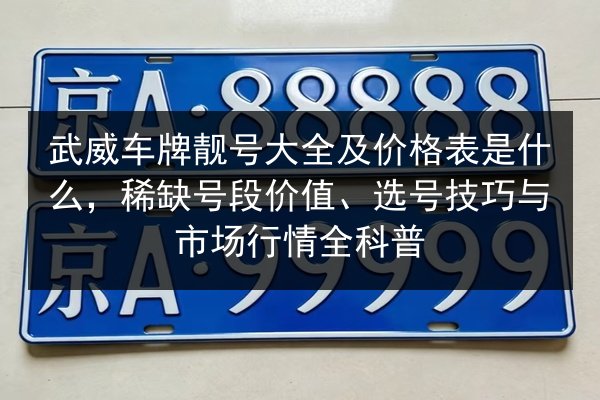 武威车牌靓号大全及价格表是什么,稀缺号段价值、选号技巧与市场行情全科普 第2张 武威车牌靓号大全及价格表是什么,稀缺号段价值、选号技巧与市场行情全科普 第2张