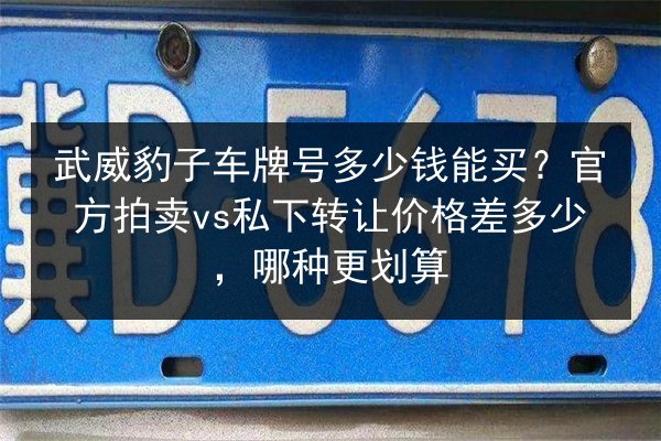 武威豹子车牌号多少钱能买?官方拍卖vs私下转让价格差多少,哪种更划算 第2张 武威豹子车牌号多少钱能买?官方拍卖vs私下转让价格差多少,哪种更划算 第2张