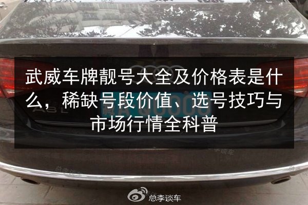 武威车牌靓号大全及价格表是什么,稀缺号段价值、选号技巧与市场行情全科普 第3张 武威车牌靓号大全及价格表是什么,稀缺号段价值、选号技巧与市场行情全科普 第3张