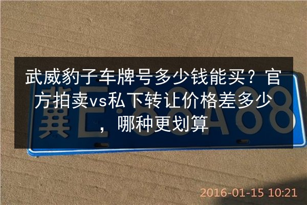 武威豹子车牌号多少钱能买?官方拍卖vs私下转让价格差多少,哪种更划算 第3张 武威豹子车牌号多少钱能买?官方拍卖vs私下转让价格差多少,哪种更划算 第3张