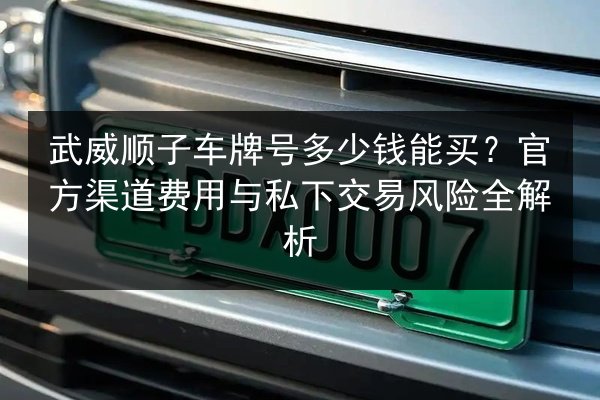 武威顺子车牌号多少钱能买?官方渠道费用与私下交易风险全解析 第2张 武威顺子车牌号多少钱能买?官方渠道费用与私下交易风险全解析 第2张