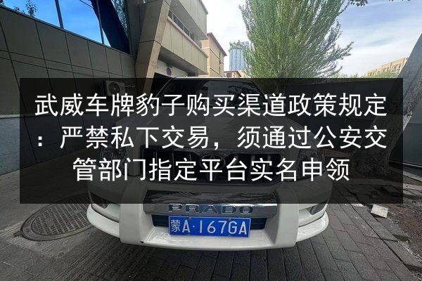 武威车牌豹子购买渠道政策规定:严禁私下交易,须通过公安交管部门指定平台实名申领 第2张 武威车牌豹子购买渠道政策规定:严禁私下交易,须通过公安交管部门指定平台实名申领 第2张