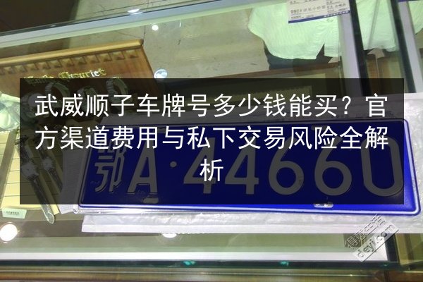 武威顺子车牌号多少钱能买?官方渠道费用与私下交易风险全解析 第3张 武威顺子车牌号多少钱能买?官方渠道费用与私下交易风险全解析 第3张
