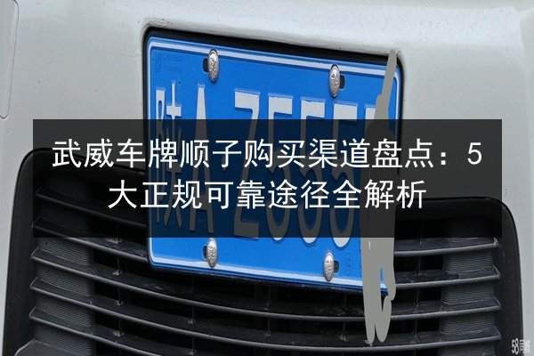 武威车牌顺子购买渠道盘点:5大正规可靠途径全解析 第3张 武威车牌顺子购买渠道盘点:5大正规可靠途径全解析 第3张