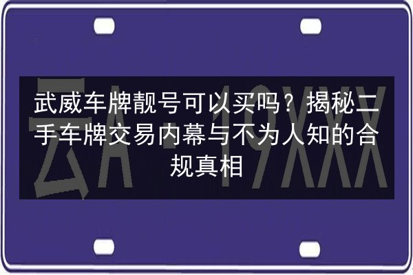 武威车牌靓号可以买吗?揭秘二手车牌交易内幕与不为人知的合规真相 第2张 武威车牌靓号可以买吗?揭秘二手车牌交易内幕与不为人知的合规真相 第2张