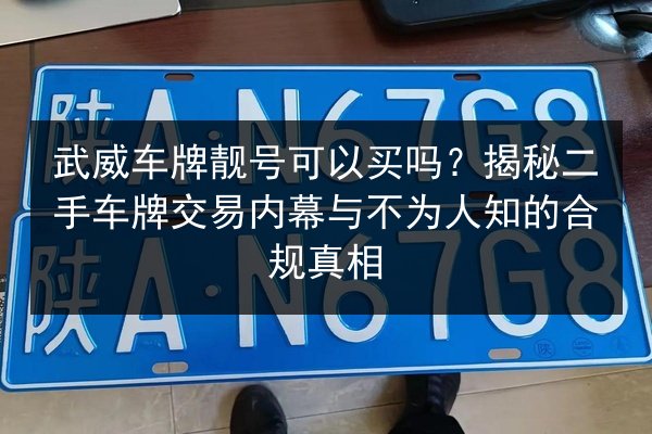 武威车牌靓号可以买吗?揭秘二手车牌交易内幕与不为人知的合规真相 第3张 武威车牌靓号可以买吗?揭秘二手车牌交易内幕与不为人知的合规真相 第3张