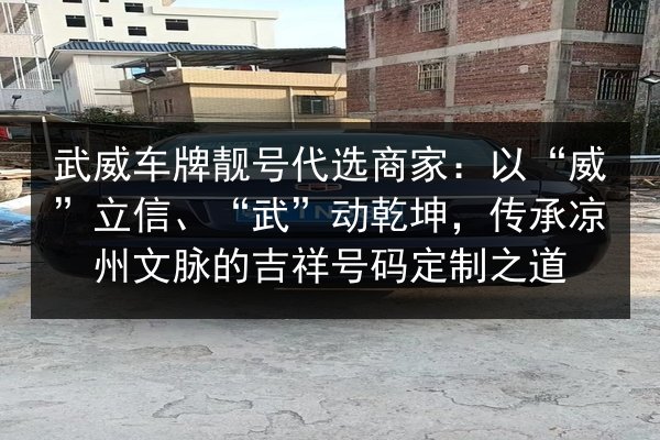 武威车牌靓号代选商家：以“威”立信、“武”动乾坤，传承凉州文脉的吉祥号码定制之道 第2张