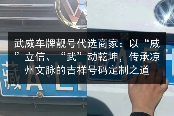 武威车牌靓号代选商家：以“威”立信、“武”动乾坤，传承凉州文脉的吉祥号码定制之道 第3张