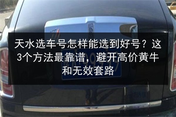 天水选车号怎样能选到好号？这3个方法最靠谱，避开高价黄牛和无效套路