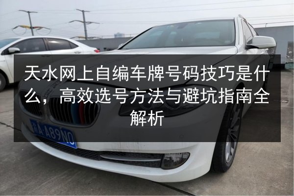 天水网上自编车牌号码技巧是什么，高效选号方法与避坑指南全解析 第1张
