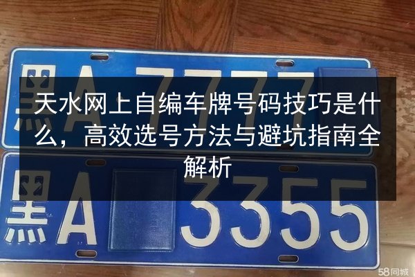 天水网上自编车牌号码技巧是什么，高效选号方法与避坑指南全解析 第2张