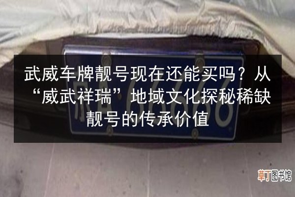 武威车牌靓号现在还能买吗?从“威武祥瑞”地域文化探秘稀缺靓号的传承价值 第3张 武威车牌靓号现在还能买吗?从“威武祥瑞”地域文化探秘稀缺靓号的传承价值 第3张