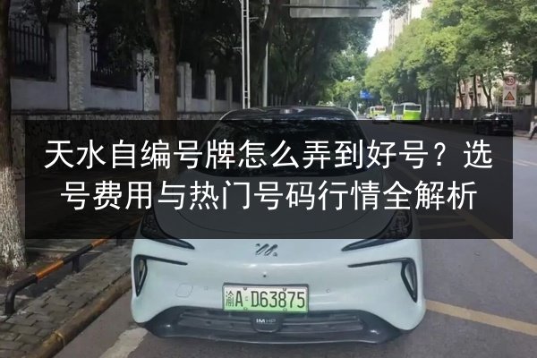 天水自编号牌怎么弄到好号？选号费用与热门号码行情全解析 第2张