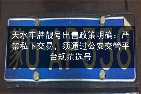 天水车牌靓号出售政策明确：严禁私下交易，须通过公安交管平台规范选号 第2张