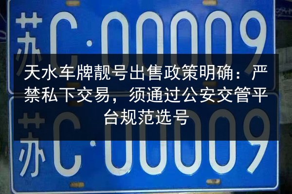 天水车牌靓号出售政策明确：严禁私下交易，须通过公安交管平台规范选号 第3张