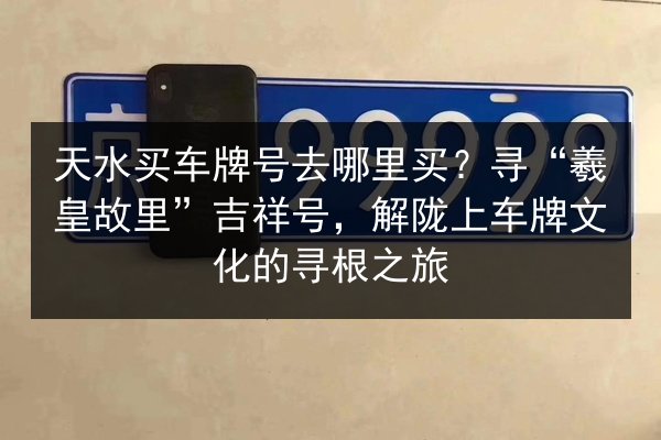 天水买车牌号去哪里买？寻“羲皇故里”吉祥号，解陇上车牌文化的寻根之旅 第1张