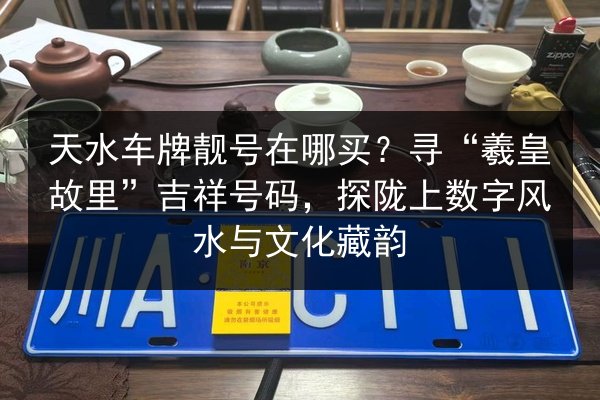 天水车牌靓号在哪买？寻“羲皇故里”吉祥号码，探陇上数字风水与文化藏韵
