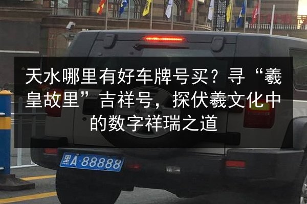 天水哪里有好车牌号买?寻“羲皇故里”吉祥号,探伏羲文化中的数字祥瑞之道 第2张 天水哪里有好车牌号买?寻“羲皇故里”吉祥号,探伏羲文化中的数字祥瑞之道 第2张