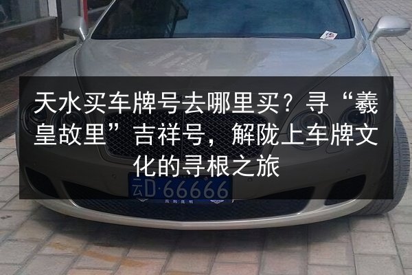 天水买车牌号去哪里买？寻“羲皇故里”吉祥号，解陇上车牌文化的寻根之旅 第2张