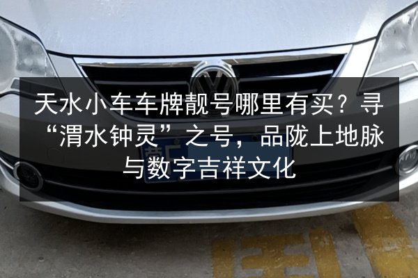 天水小车车牌靓号哪里有买？寻“渭水钟灵”之号，品陇上地脉与数字吉祥文化 第2张
