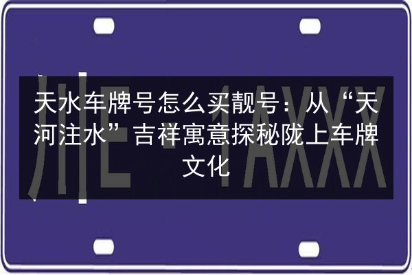 天水车牌号怎么买靓号：从“天河注水”吉祥寓意探秘陇上车牌文化
