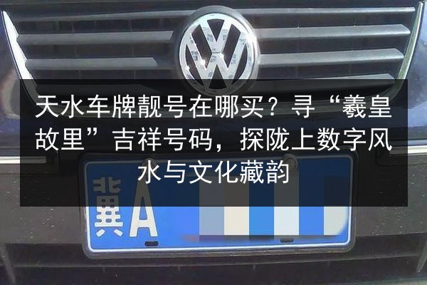 天水车牌靓号在哪买？寻“羲皇故里”吉祥号码，探陇上数字风水与文化藏韵 第2张