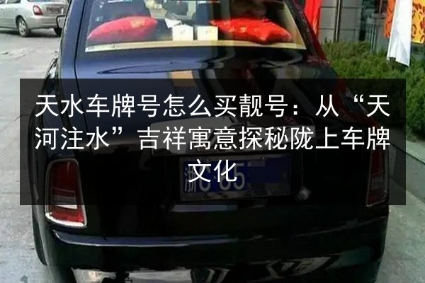天水车牌号怎么买靓号：从“天河注水”吉祥寓意探秘陇上车牌文化 第2张