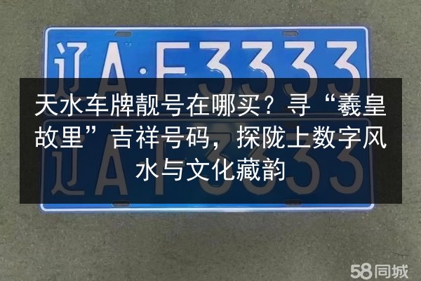 天水车牌靓号在哪买？寻“羲皇故里”吉祥号码，探陇上数字风水与文化藏韵 第3张