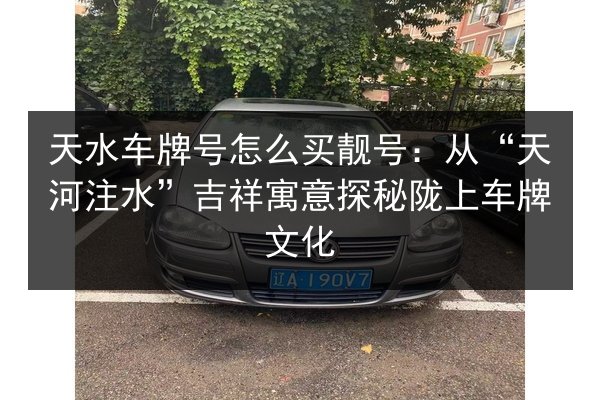 天水车牌号怎么买靓号：从“天河注水”吉祥寓意探秘陇上车牌文化 第3张