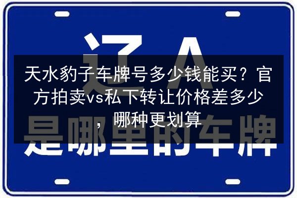 天水豹子车牌号多少钱能买？官方拍卖vs私下转让价格差多少，哪种更划算