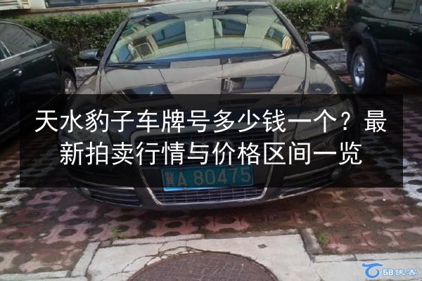 天水豹子车牌号多少钱一个？最新拍卖行情与价格区间一览 第2张