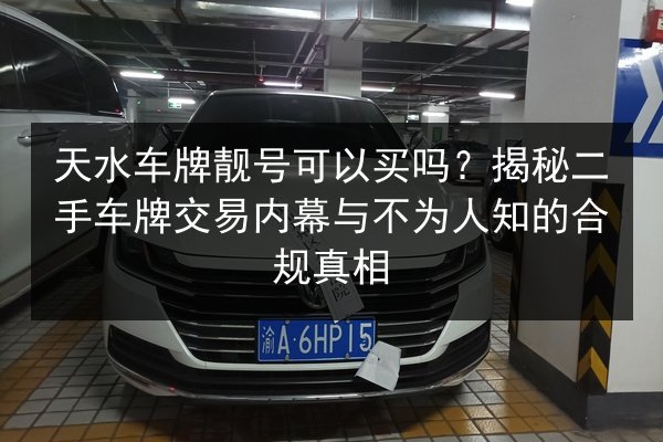 天水车牌靓号可以买吗?揭秘二手车牌交易内幕与不为人知的合规真相 第2张 天水车牌靓号可以买吗?揭秘二手车牌交易内幕与不为人知的合规真相 第2张