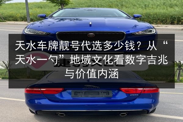 天水车牌靓号代选多少钱？从“天水一勺”地域文化看数字吉兆与价值内涵 第2张