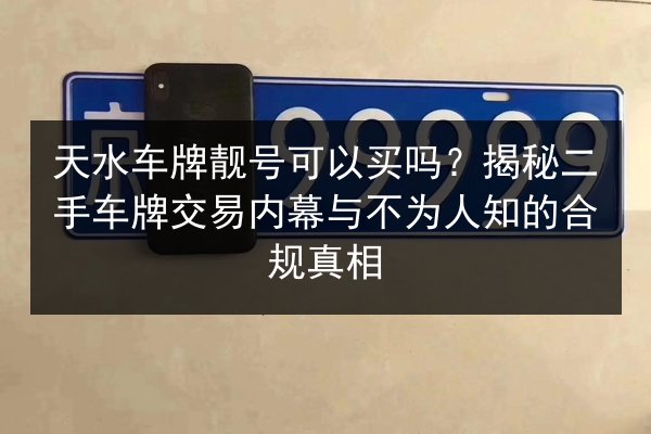 天水车牌靓号可以买吗?揭秘二手车牌交易内幕与不为人知的合规真相 第3张 天水车牌靓号可以买吗?揭秘二手车牌交易内幕与不为人知的合规真相 第3张