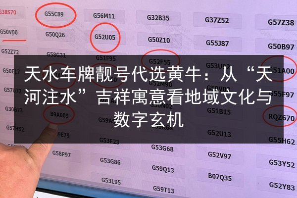 天水车牌靓号代选黄牛:从“天河注水”吉祥寓意看地域文化与数字玄机 第2张 天水车牌靓号代选黄牛:从“天河注水”吉祥寓意看地域文化与数字玄机 第2张