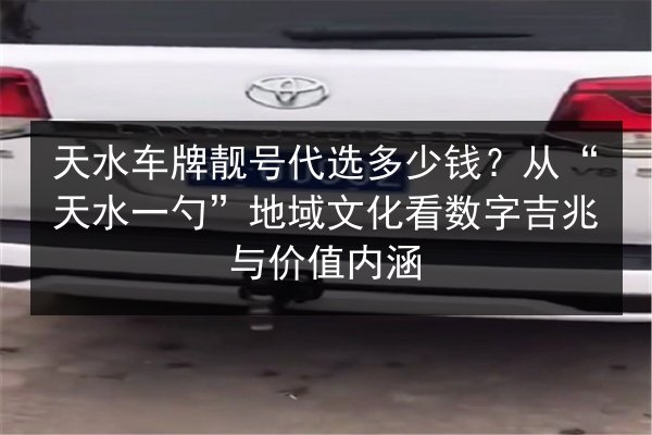 天水车牌靓号代选多少钱？从“天水一勺”地域文化看数字吉兆与价值内涵 第3张