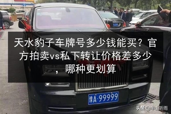 天水豹子车牌号多少钱能买？官方拍卖vs私下转让价格差多少，哪种更划算 第3张