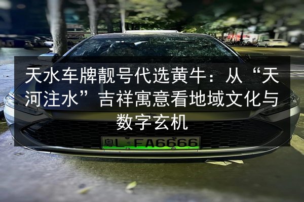 天水车牌靓号代选黄牛:从“天河注水”吉祥寓意看地域文化与数字玄机 第3张 天水车牌靓号代选黄牛:从“天河注水”吉祥寓意看地域文化与数字玄机 第3张