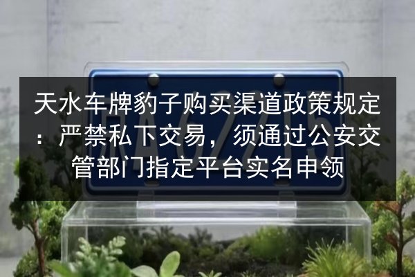天水车牌豹子购买渠道政策规定：严禁私下交易，须通过公安交管部门指定平台实名申领 第2张