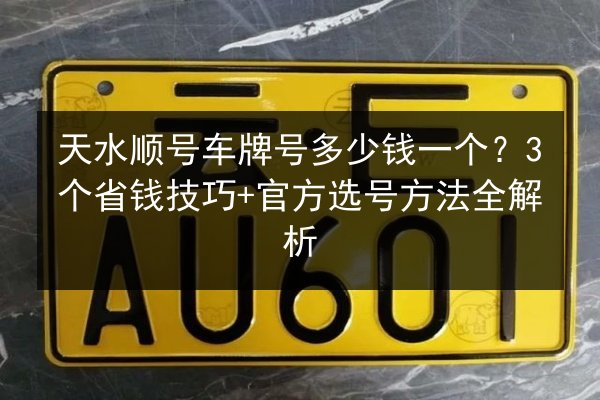 天水顺号车牌号多少钱一个?3个省钱技巧+官方选号方法全解析 第3张 天水顺号车牌号多少钱一个?3个省钱技巧+官方选号方法全解析 第3张